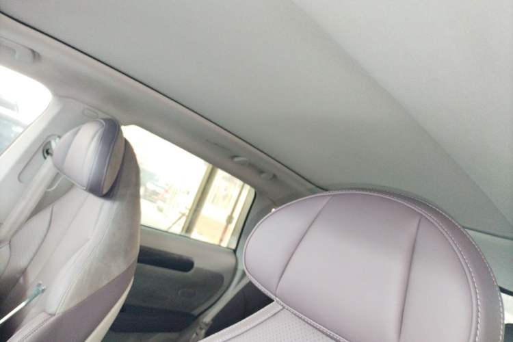 Used Leapmotor C11 2021 Performance Edition Headliner
