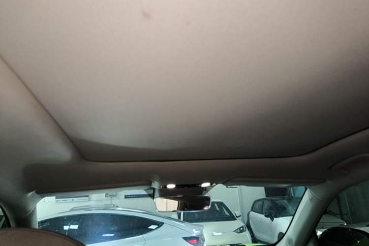 Used Leapmotor C11 2021 Deluxe Edition Headliner