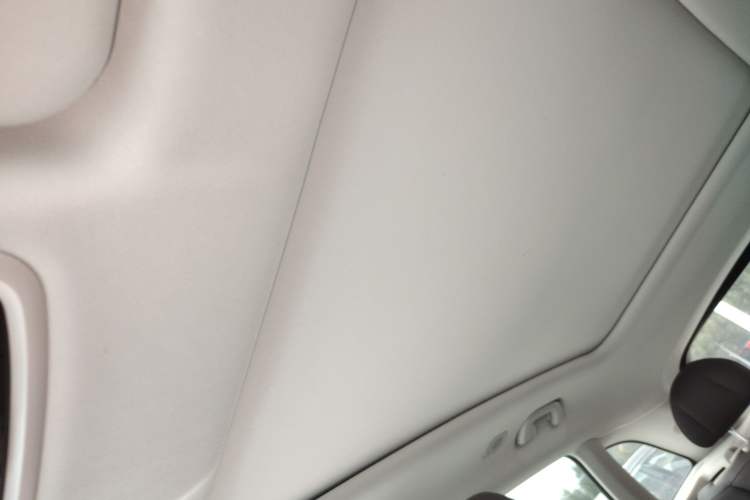 Used Leapmotor C11 2021 Performance Edition Headliner