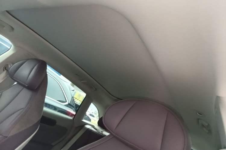 Used Leapmotor C11 2021 Luxury Edition Headliner