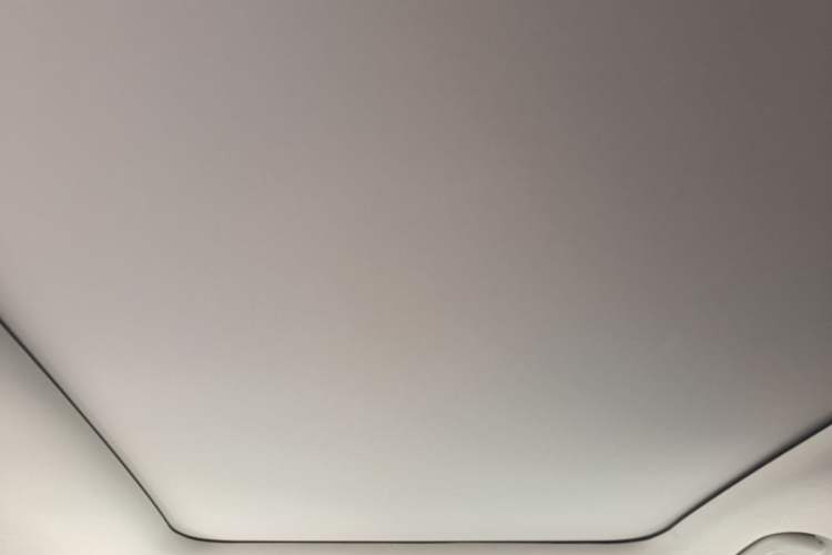Used Leapmotor C11 2021 Deluxe Edition Headliner