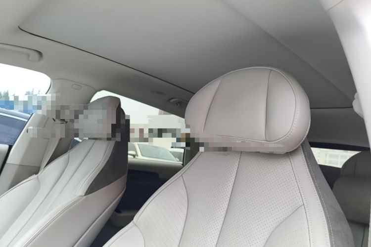 Used Leapmotor C11 2021 Deluxe Edition Headliner