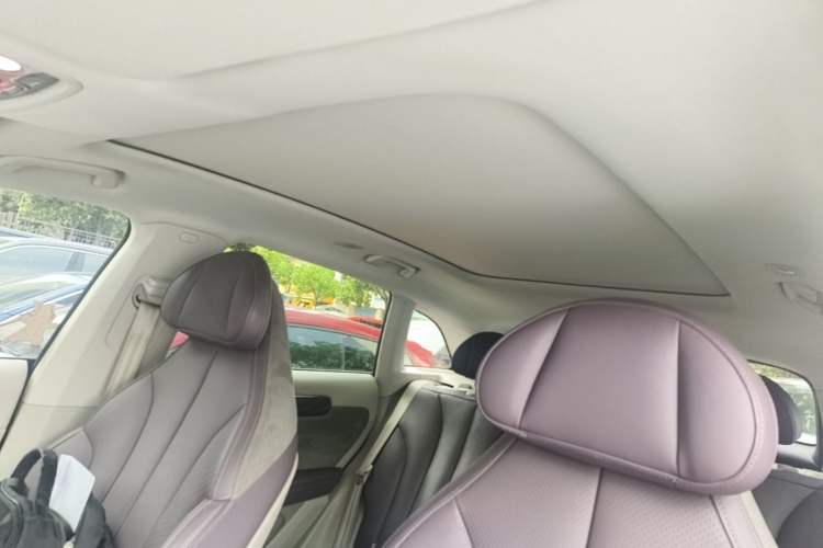 Used Leapmotor C11 2021 Luxury Edition Headliner