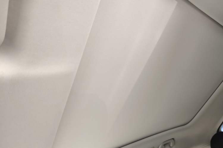 Used Leapmotor C11 2021 Deluxe Edition Headliner