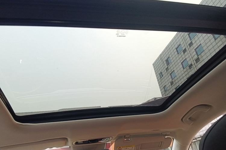 Used Leapmotor C11 2021 Luxury Edition Headliner