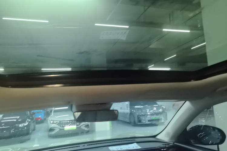 Used Leapmotor C11 2021 Deluxe Edition Headliner