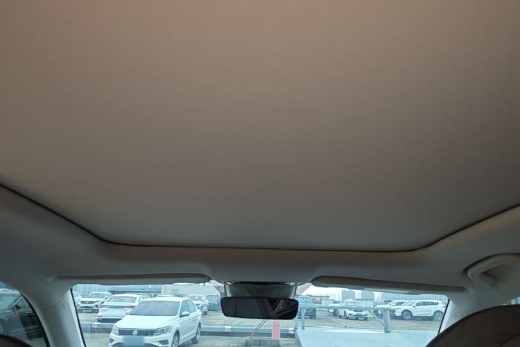 Used Leapmotor C11 2021 Deluxe Edition Headliner