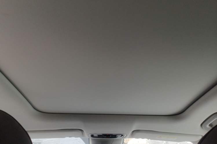 Used Leapmotor C11 2021 Performance Edition Headliner