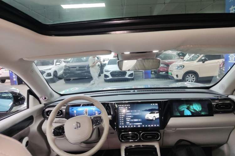 Used Leapmotor C11 2021 Deluxe Edition Headliner