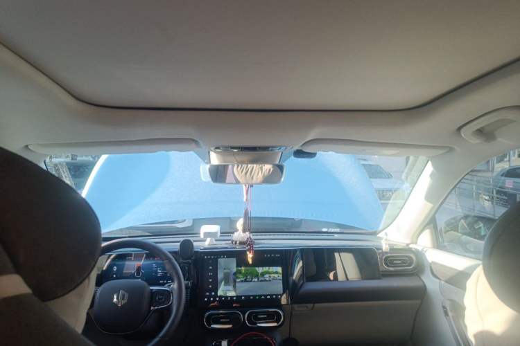Used Leapmotor C11 2021 Deluxe Edition Headliner