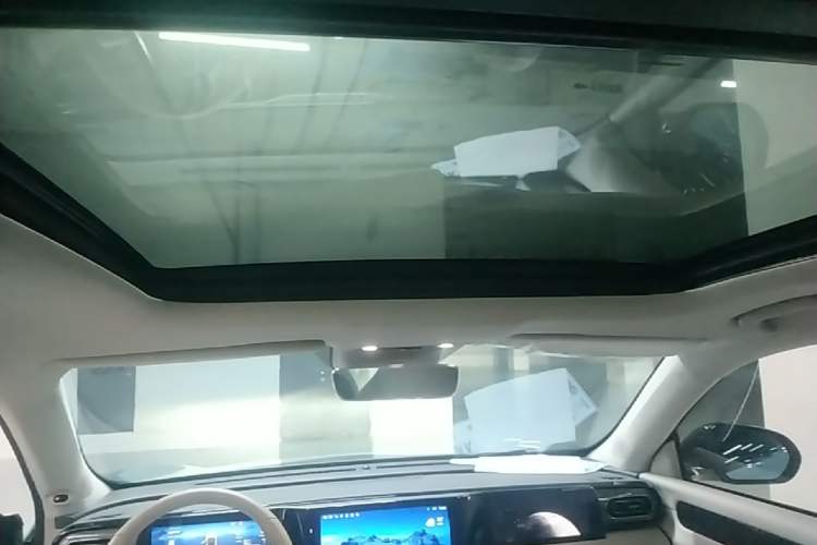 Used Leapmotor C11 2021 Deluxe Edition Headliner