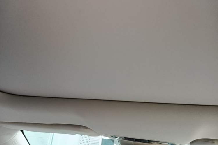 Used Leapmotor C11 2021 Deluxe Edition Headliner