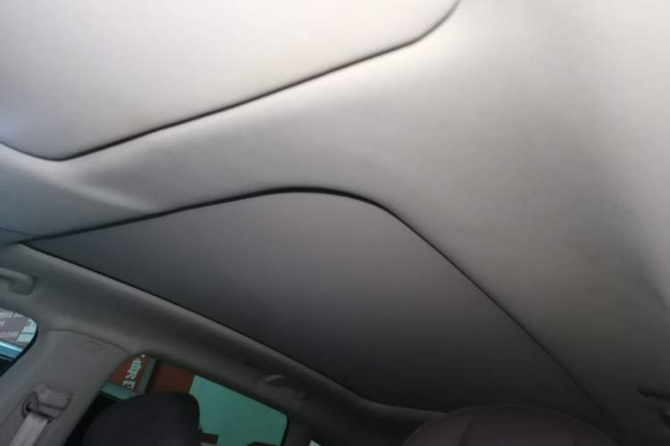 Used Leapmotor C11 2021 Executive Edition 610 Headliner