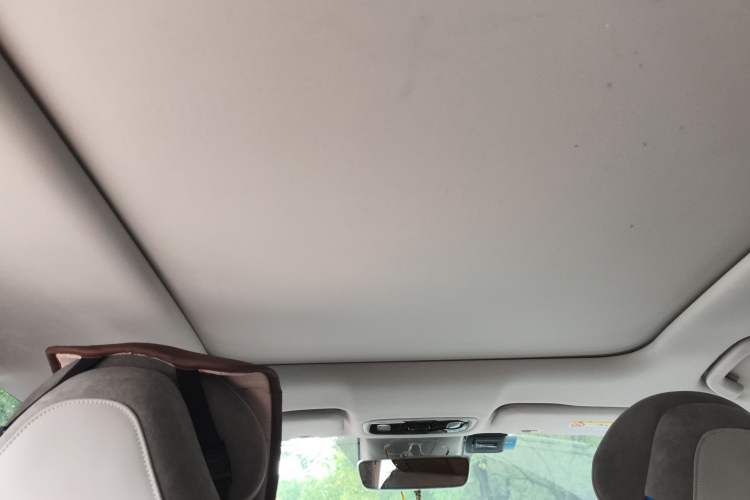 Used Leapmotor C11 2021 Deluxe Edition Headliner
