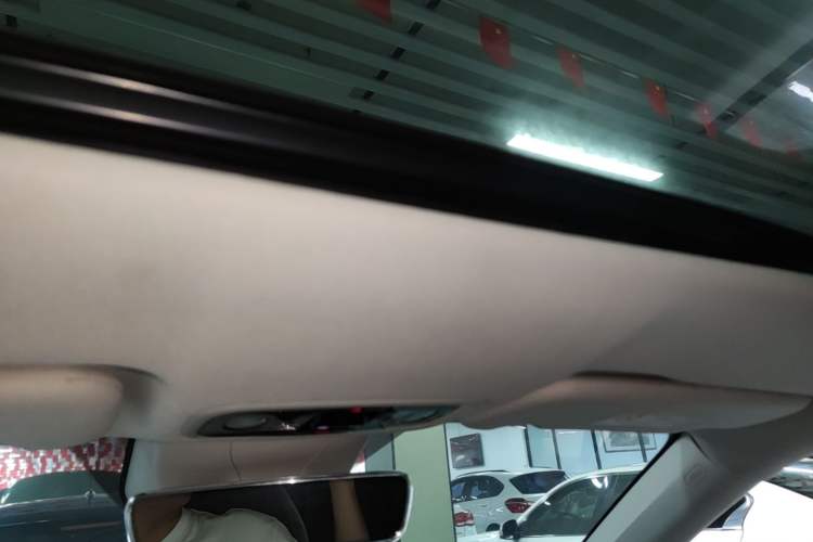 Used Leapmotor C11 2021 Deluxe Edition Headliner