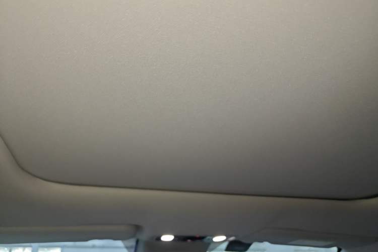 Used Leapmotor C11 2021 Revised Version Luxury Edition Headliner