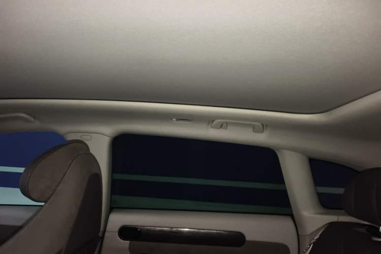 Used Leapmotor C11 2021 Deluxe Edition Headliner