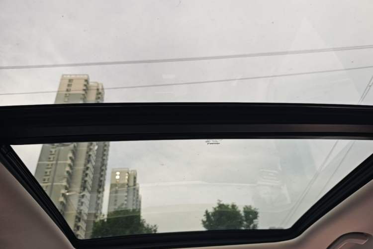 Used Leapmotor C11 2021 Performance Edition Headliner