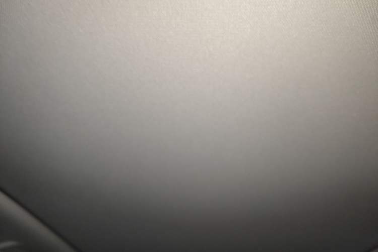 Used Leapmotor C11 2021 Deluxe Edition Headliner