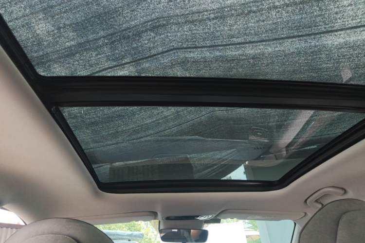 Used Leapmotor C11 2021 Deluxe Edition Headliner