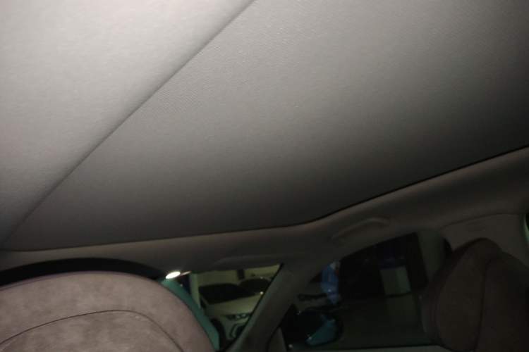 Used Leapmotor C11 2021 Performance Edition Headliner
