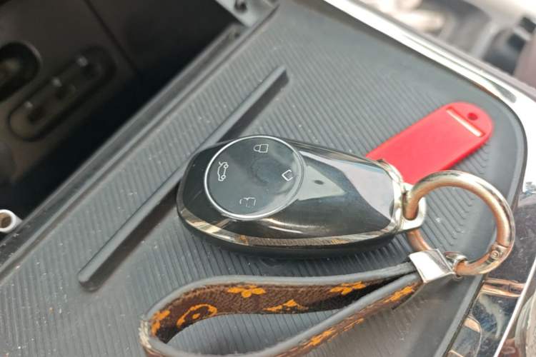 Used Leapmotor C11 2021 Performance Edition Interior 1