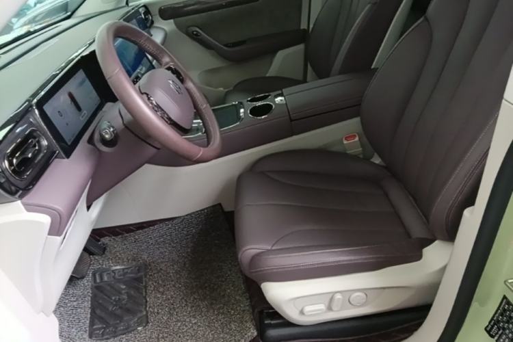 Used Leapmotor C11 2021 Luxury Edition Left Front Seat