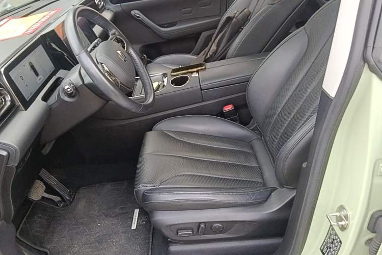 Used Leapmotor C11 2021 Luxury Edition Left Front Seat