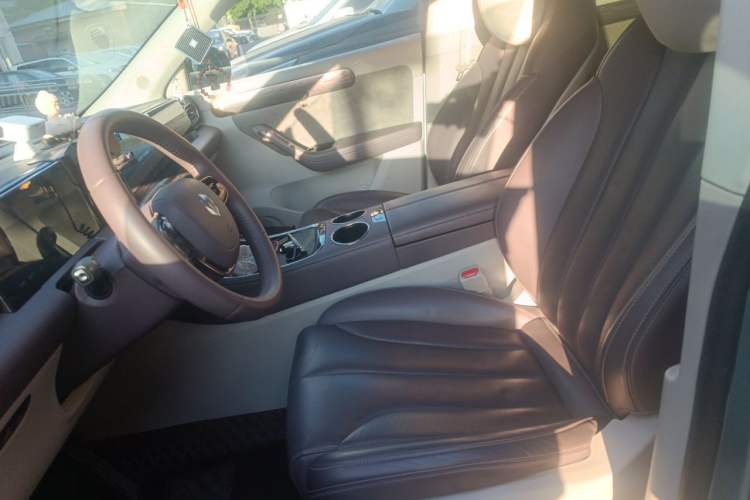 Used Leapmotor C11 2021 Deluxe Edition Left Front Seat