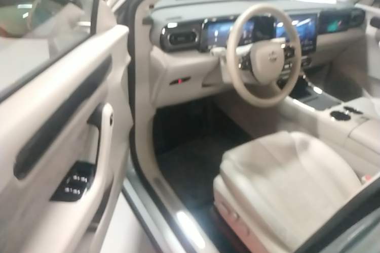 Used Leapmotor C11 2021 Deluxe Edition Left Front Seat