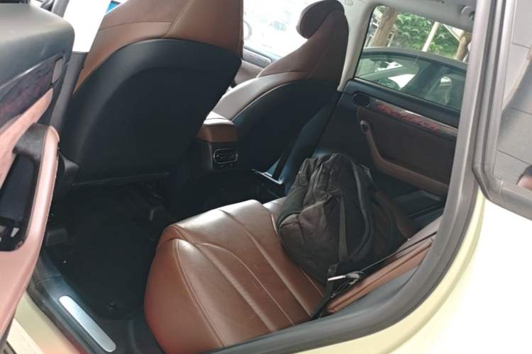 Used Leapmotor C11 2021 Revised Version Luxury Edition Left Rear Seat