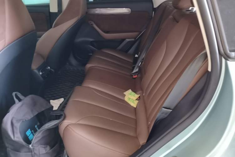 Used Leapmotor C11 2021 Performance Edition Left Rear Seat