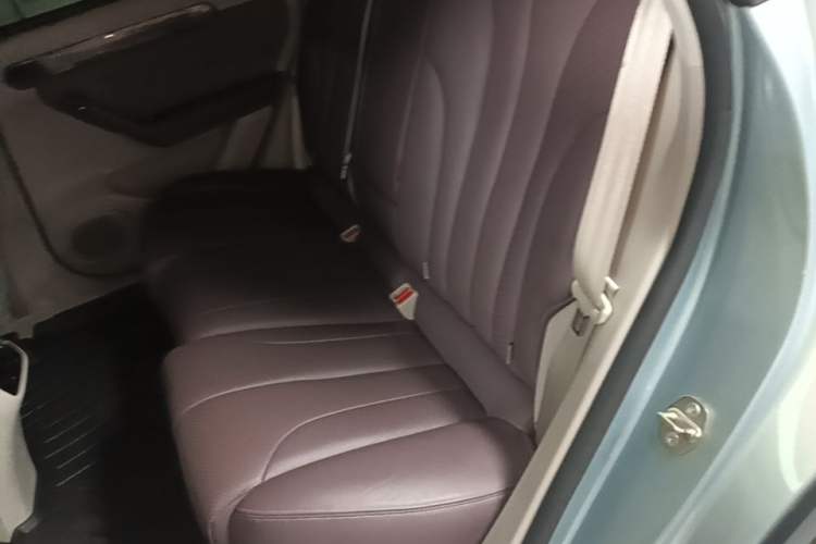 Used Leapmotor C11 2021 Deluxe Edition Left Rear Seat