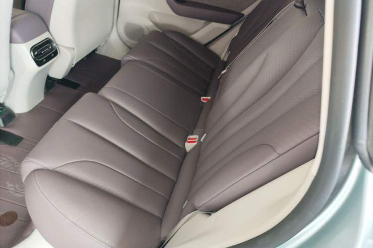 Used Leapmotor C11 2021 Performance Edition Left Rear Seat
