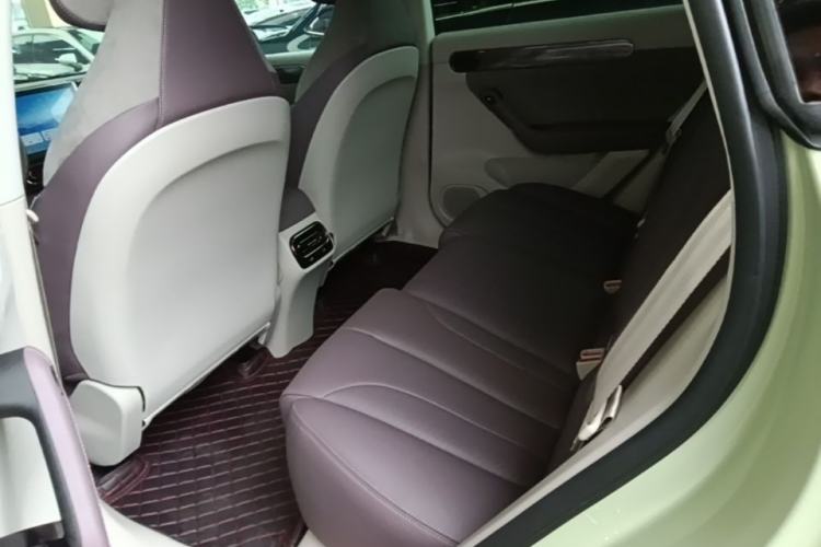 Used Leapmotor C11 2021 Luxury Edition Left Rear Seat