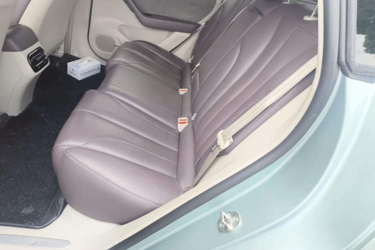 Used Leapmotor C11 2021 Luxury Edition Left Rear Seat