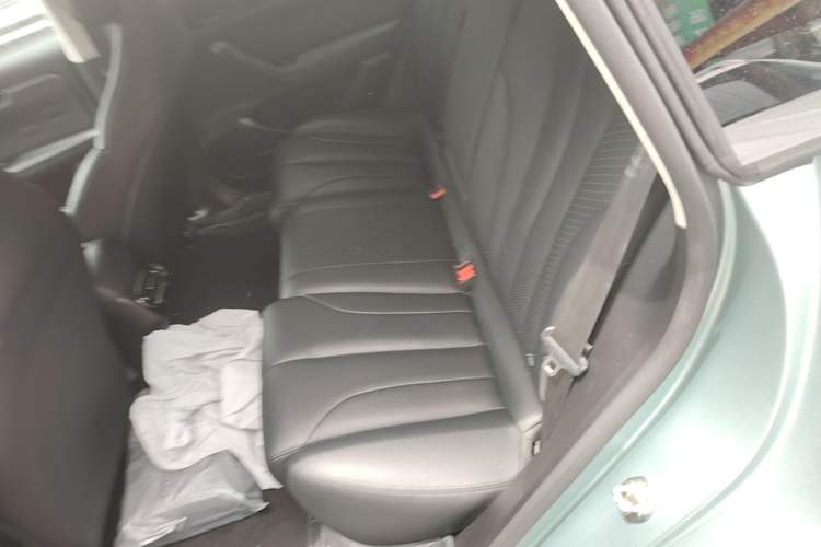Used Leapmotor C11 2021 Deluxe Edition Left Rear Seat