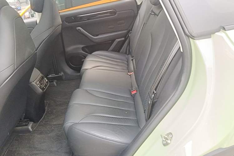 Used Leapmotor C11 2021 Luxury Edition Left Rear Seat