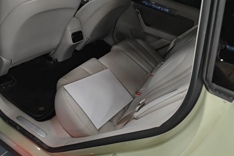 Used Leapmotor C11 2021 Revised Version Luxury Edition Left Rear Seat