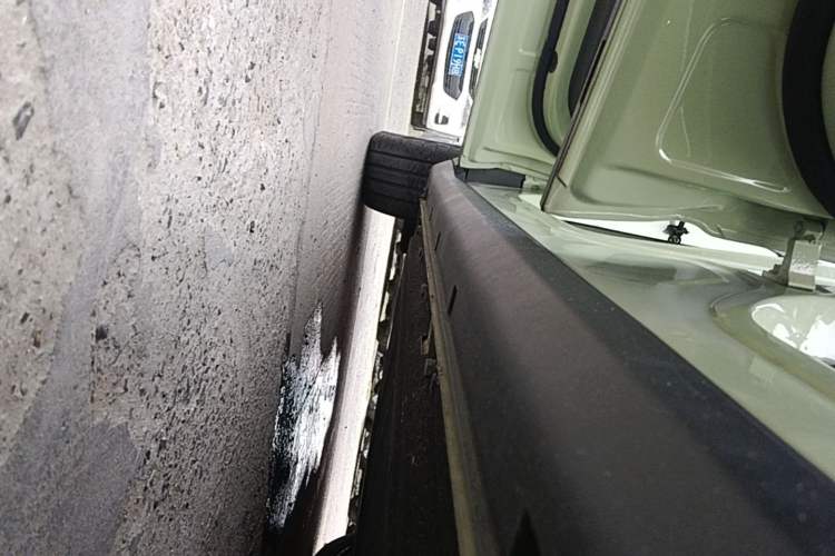 Used Leapmotor C11 2021 Luxury Edition Left Side Sill