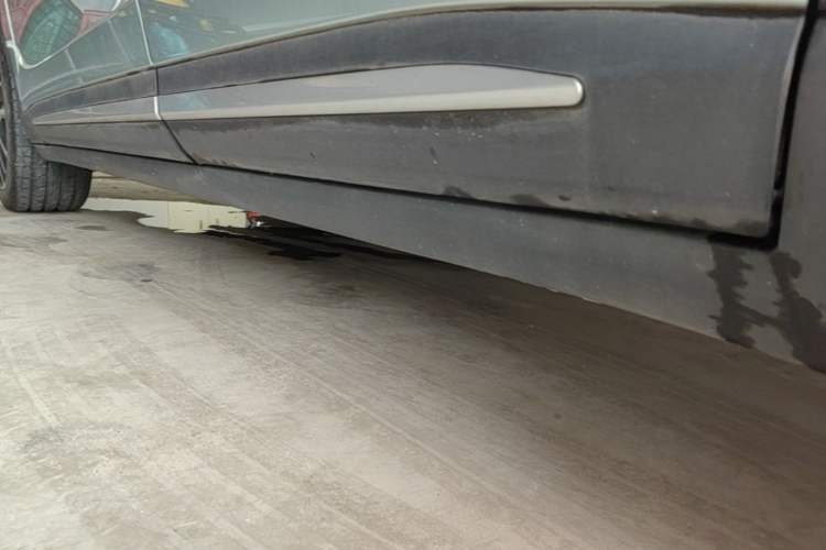Used Leapmotor C11 2021 Deluxe Edition Left Side Sill