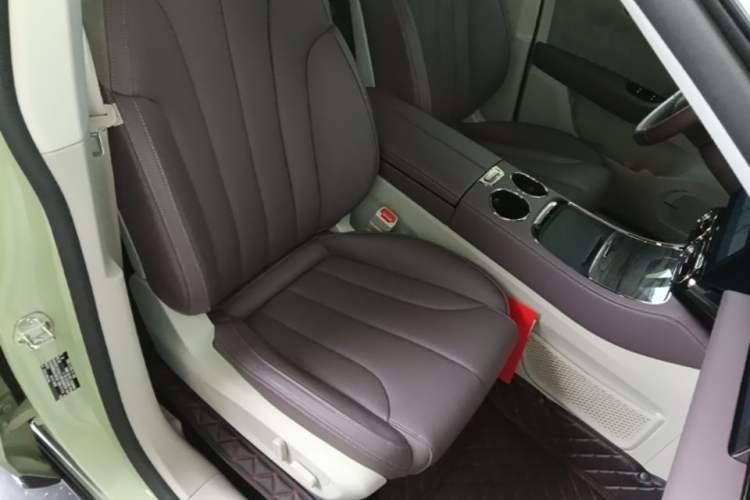 Used Leapmotor C11 2021 Luxury Edition Right Front Seat