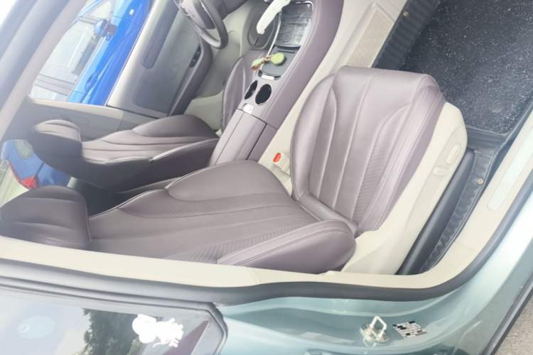 Used Leapmotor C11 2021 Luxury Edition Right Front Seat