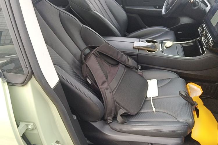 Used Leapmotor C11 2021 Luxury Edition Right Front Seat