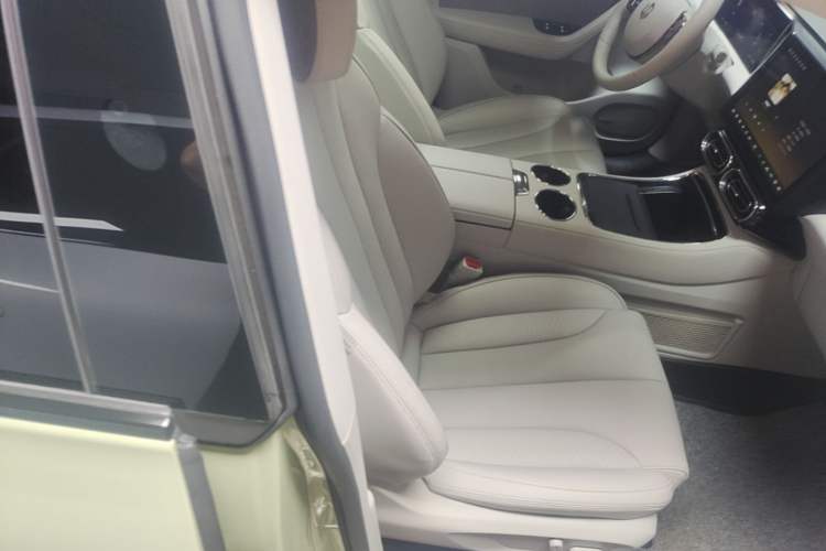 Used Leapmotor C11 2021 Revised Version Luxury Edition Right Front Seat