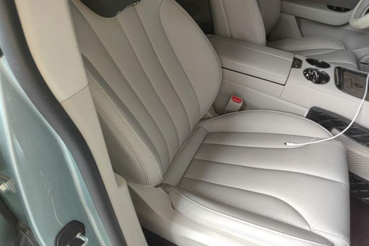 Used Leapmotor C11 2021 Deluxe Edition Right Front Seat