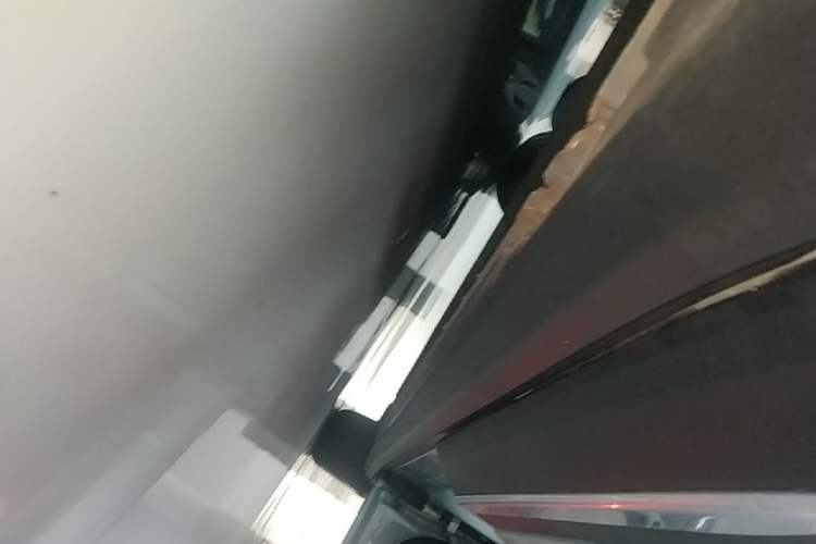 Used Leapmotor C11 2021 Deluxe Edition Right Side Sill
