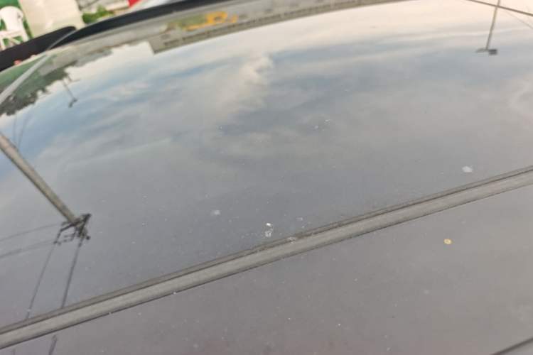 Used Leapmotor C11 2021 Performance Edition Roof