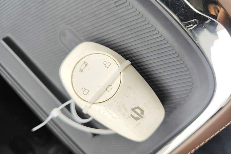 Used Leapmotor C11 2021 Performance Edition Vehicle Key
