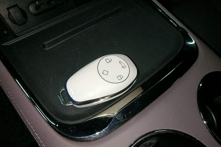 Used Leapmotor C11 2021 Deluxe Edition Vehicle Key